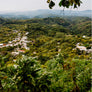 SUN-DRIED MALINAL NAYARITA