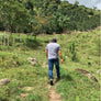 **NEW** Colombia Juan Carlos Osorio