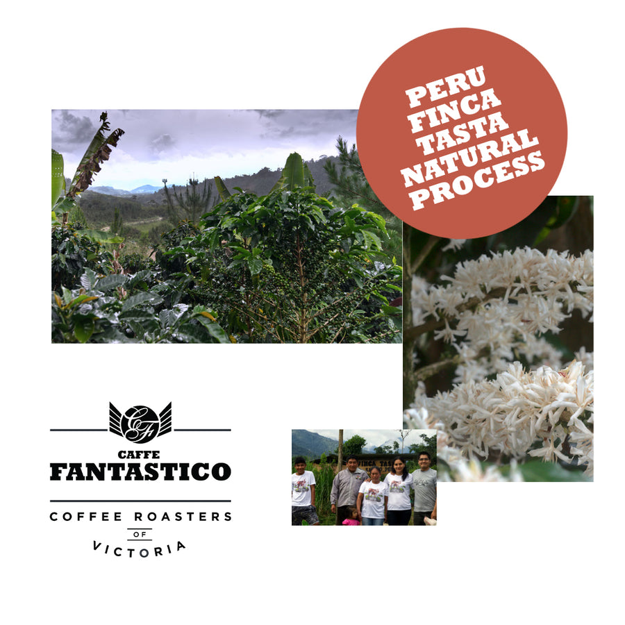 Peru Finca Tasta Natural Process