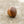 Comandante Replacement Knob